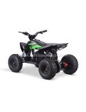 Quad 36V 1000W Adventurer Quad 36V 1000W Adventurer
